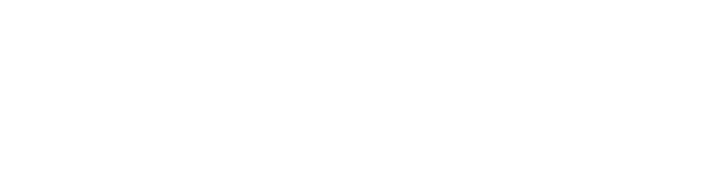 Satya Financial